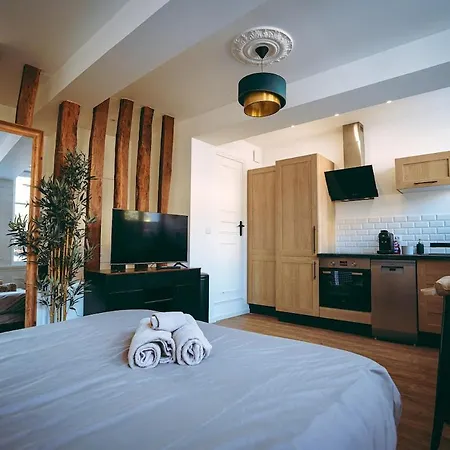 Du Palais Jacuzzi Sauna - Centre - Free Parking Apartment Rouen