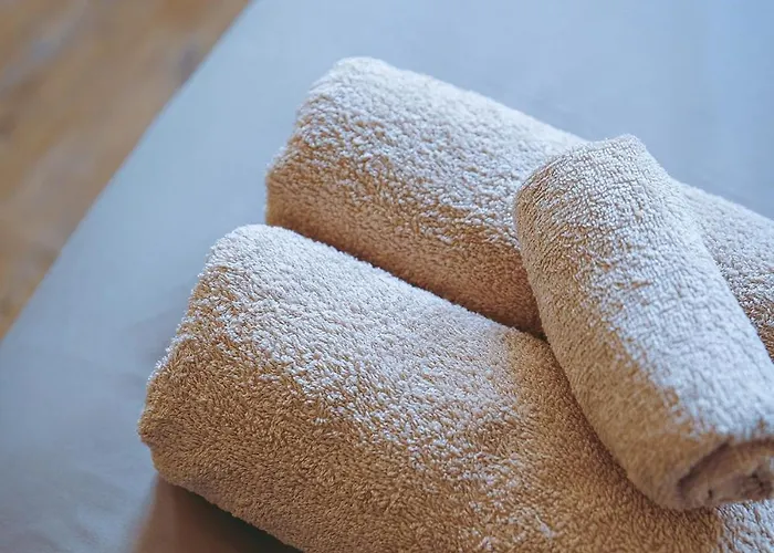 Appartement Du Palais Jacuzzi Sauna - Centre - Free Parking