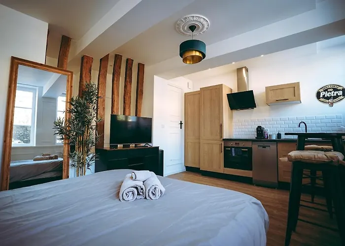 Du Palais Jacuzzi Sauna - Centre - Free Parking 公寓 鲁昂